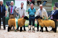 48I9694-Roscrea-winning-group