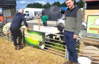 2025-suffolk-sheep-11