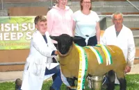 2025-suffolk-sheep-23