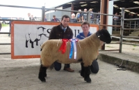 Ballinrobe-Show-Sale-025