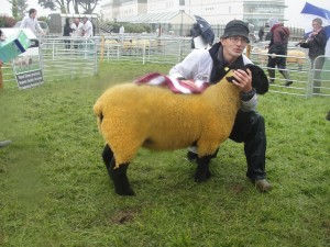 Club Champion 2016 at Galway County Show  Winner Kenneth Bailey Roscommon 